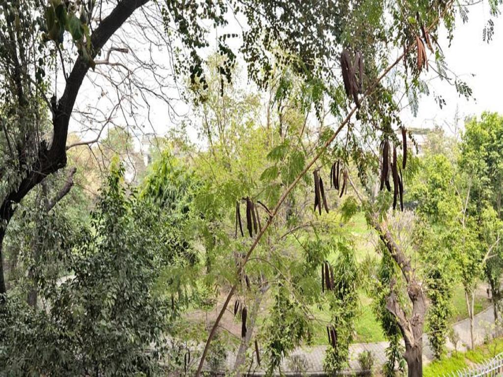Haveli Hauz Khas Nova Deli Quarto foto